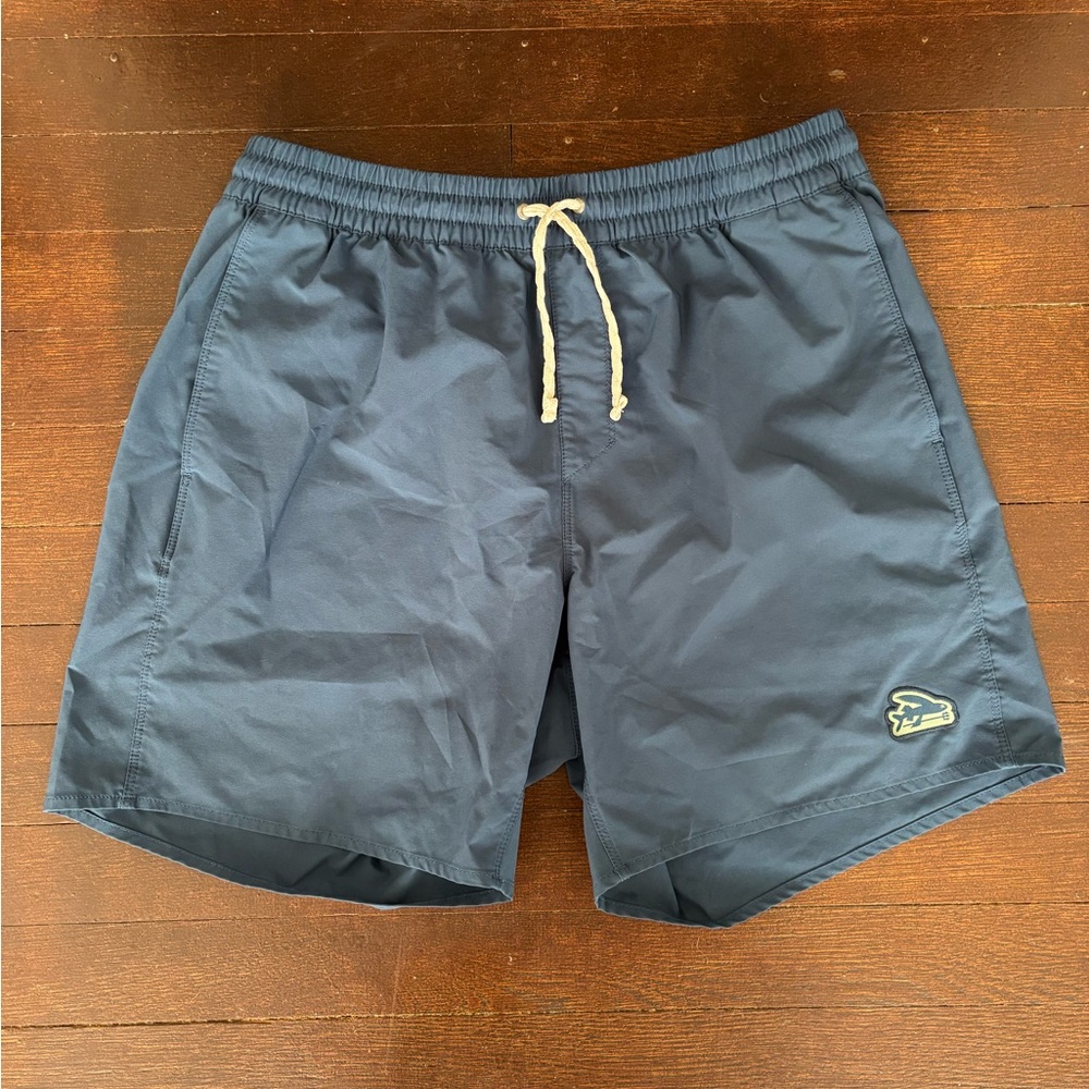 Patagonia Volley Shorts